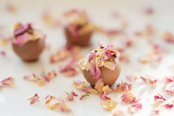 Cresus Casino Android/iOS Forrit